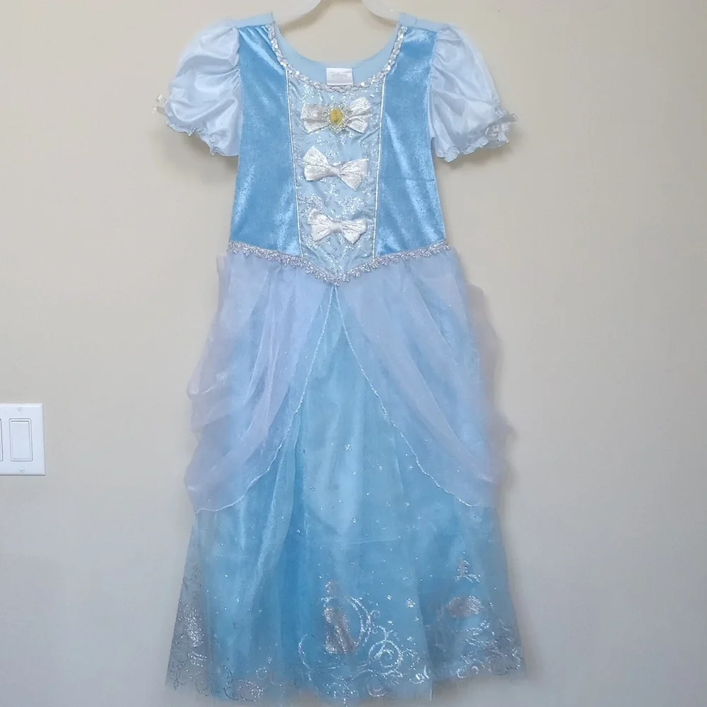 Disney Authentic Blue Cinderella Costume